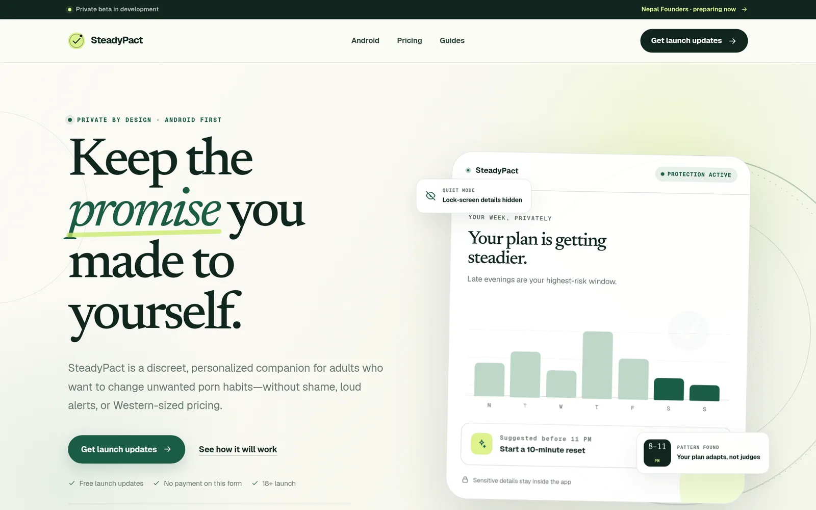 The SteadyPact website